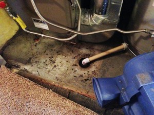 Water Damage - Field Service Reponse